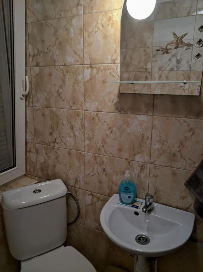 Hotel Окремий Будинок-Апартаменти Rakoshyno Exterior photo