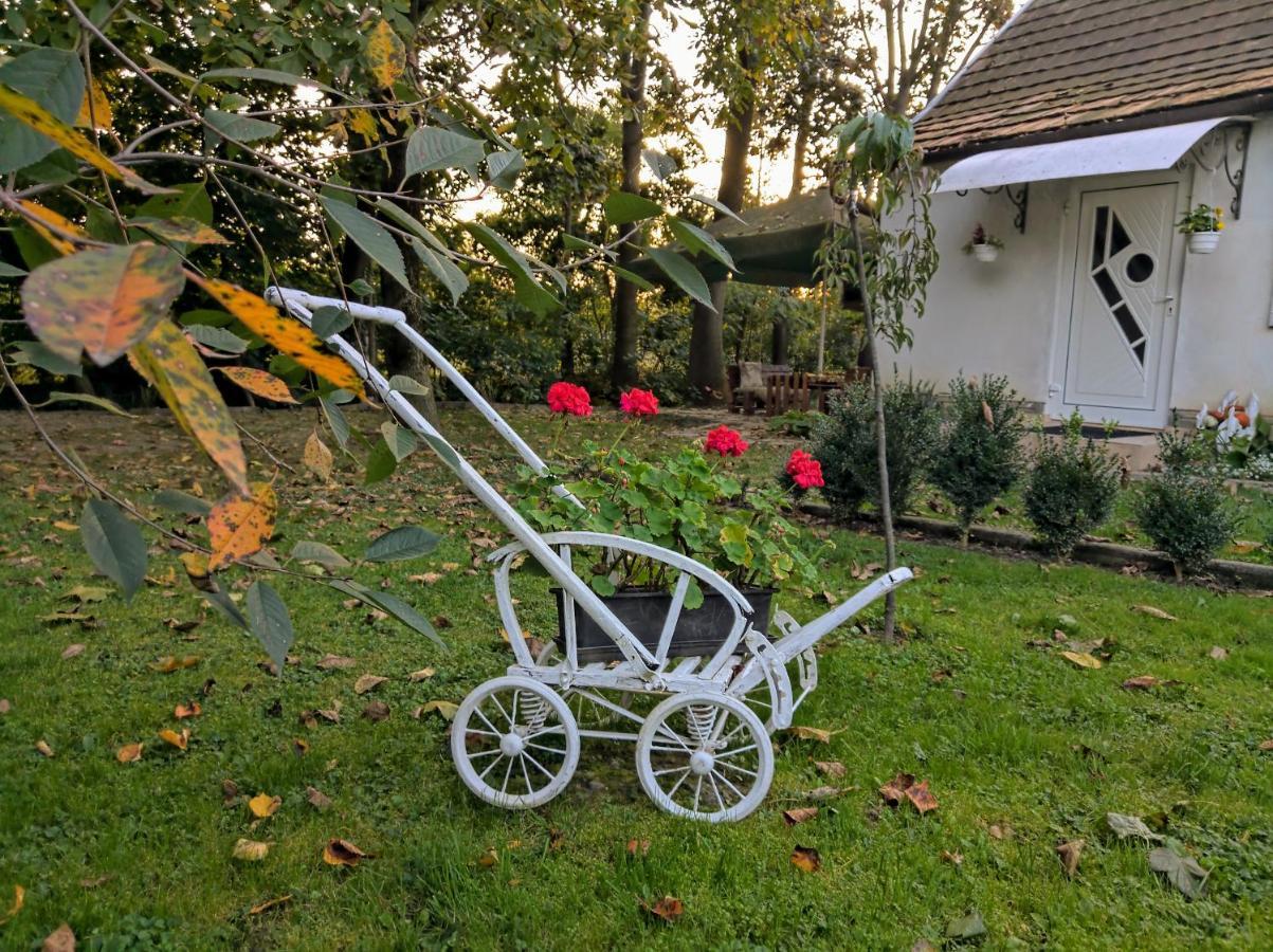 Hotel Окремий Будинок-Апартаменти Rakoshyno Exterior photo