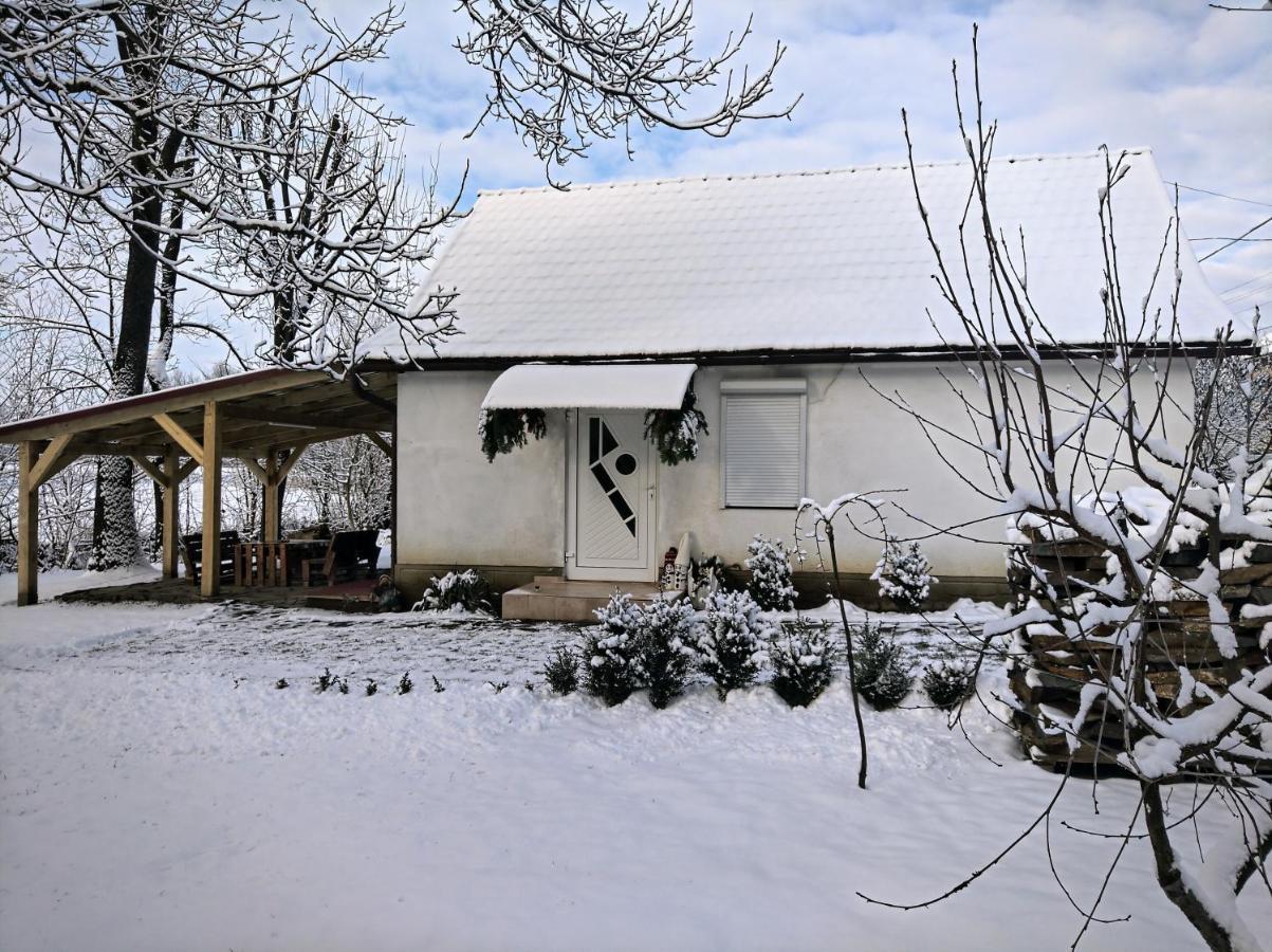 Hotel Окремий Будинок-Апартаменти Rakoshyno Exterior photo