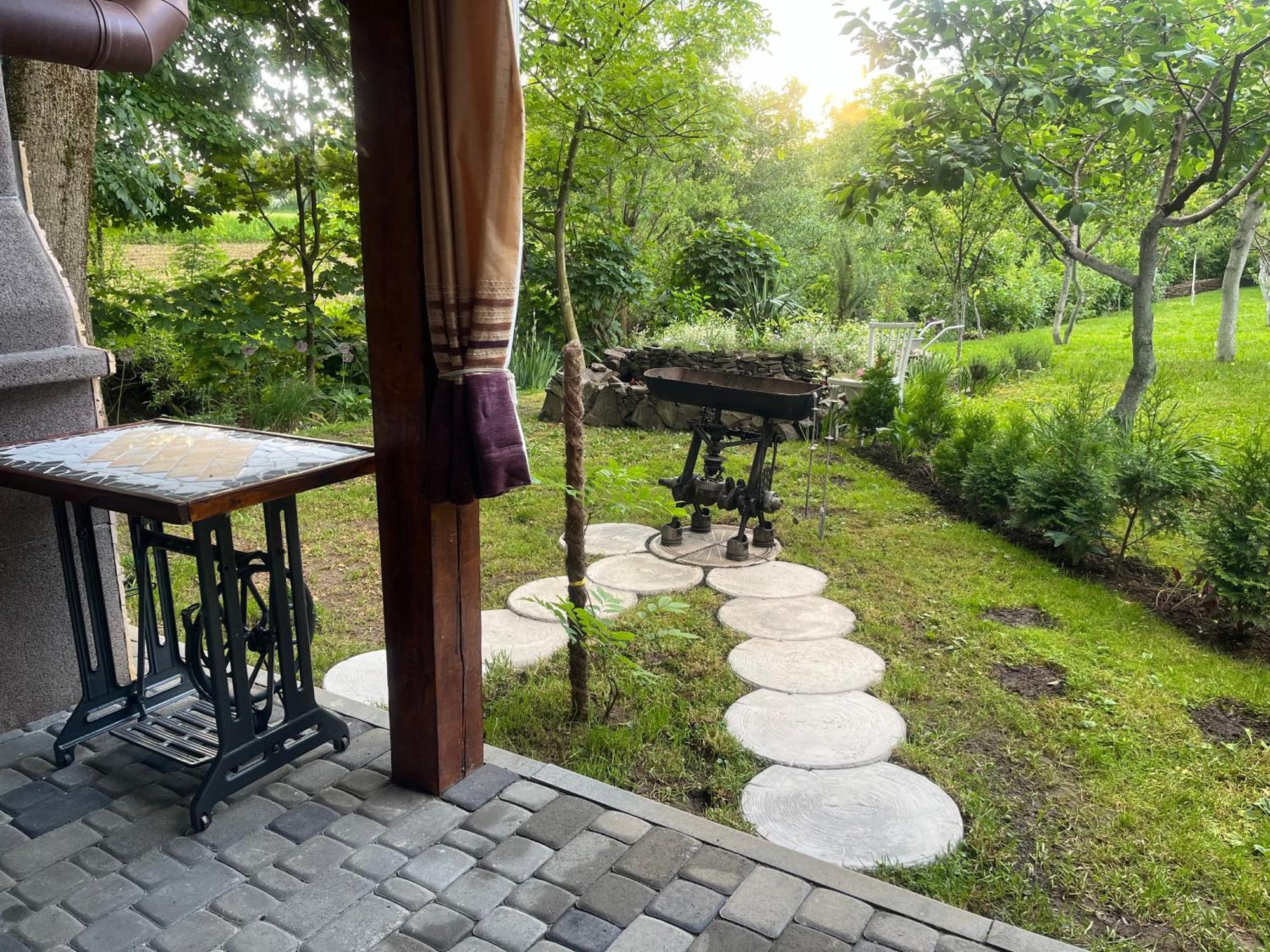 Hotel Окремий Будинок-Апартаменти Rakoshyno Exterior photo